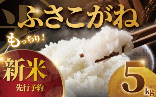 新米 ふさこがね 5kg 【2026年9月以降発送】 米 お米 ブランド米 国産 美味しいお米 白飯 飯 ご飯５kg 5キロ 精米 白米 こめ コメ おこめ okome kome おむすび おにぎり 弁当 美味しい グルメ 朝食 贈答 取り寄せ ギフト 魚 肉 の おかず にあう 令和8年産 千葉県産 鍋屋商店 千葉 東金 先行予約