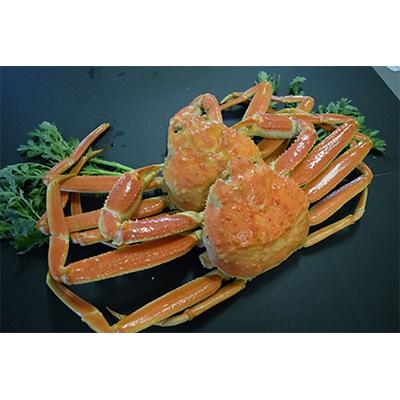 ふるさと納税 鳥取県 茹で松葉かに　足欠け　中サイズ　2尾入