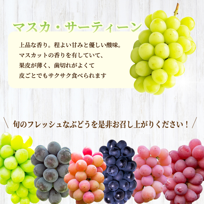 【先行受付】厳選！旬のぶどう詰め合わせ約2kg（4～5房） 2025年9月上旬から順次発送 種なし シャインマスカット 品種 農園おまかせ ピオーネ BKシードレス 安芸クイーン クイーンニーナ スカ