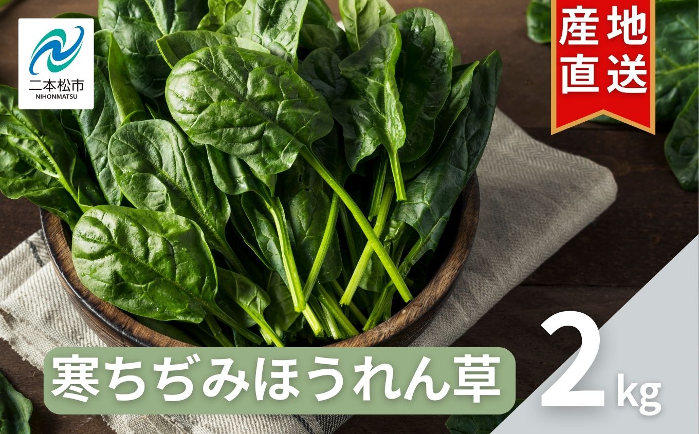 《2027年1月中旬より順次発送》寒ちぢみほうれん草2kg【西谷さとう農園】