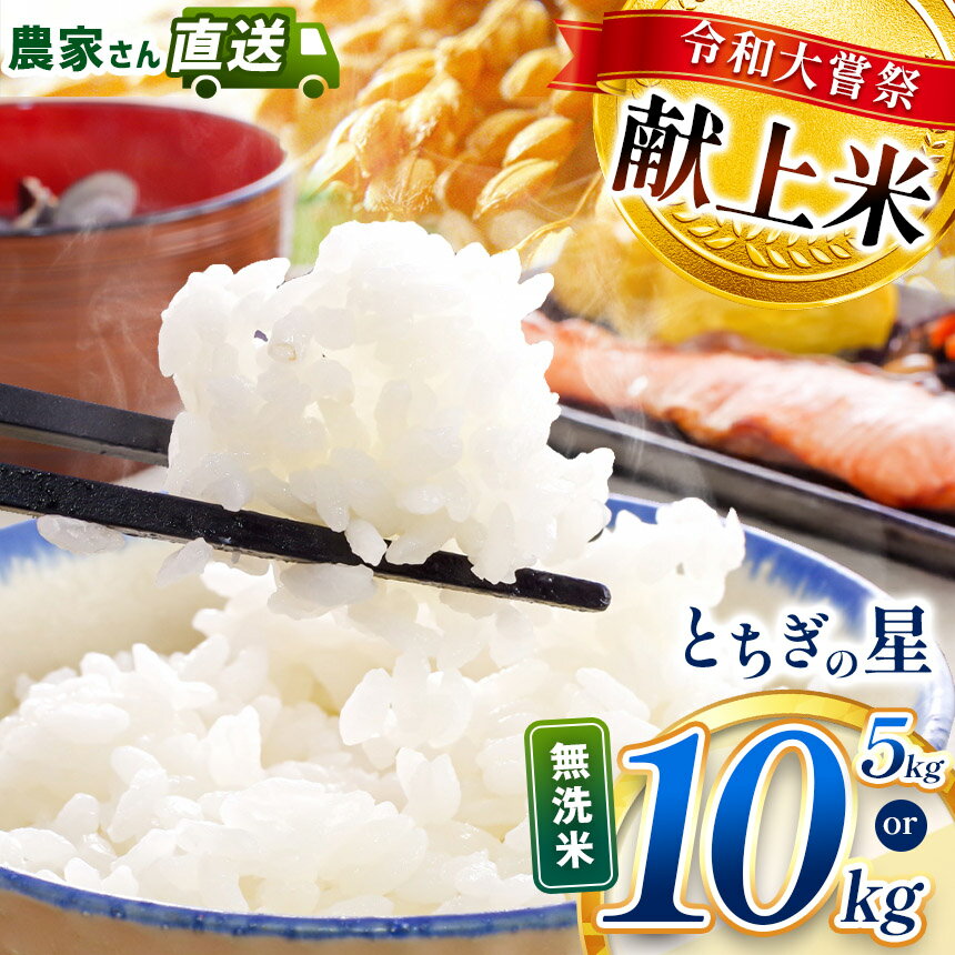 【ふるさと納税】 お米 無洗米 とちぎの星 新米 5kg 10kg 令和大嘗祭献上米 | 米 こめ コメ 白米 精米 とちぎの星 食べ比べ 先行予約 5kg 10k ごはん ご飯 美味しい おいしい 旨い しゃり シャリ ふっくら お米 おこめ 備蓄 米 栃木 栃木県 真岡市 送料無料