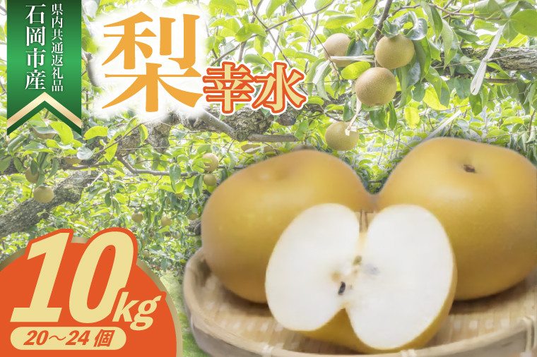 
            ＜2025年8月より順次発送予定＞幸水　10kg　20～24個(県内共通返礼品:石岡市産) (BR050)
          