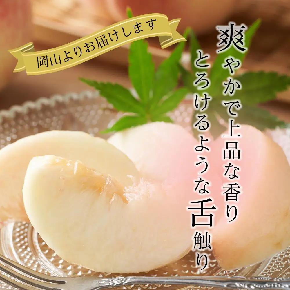 2026年 先行予約 岡山県産   白 桃   ロイヤル 約2kg（5～10玉）｜ 桃　