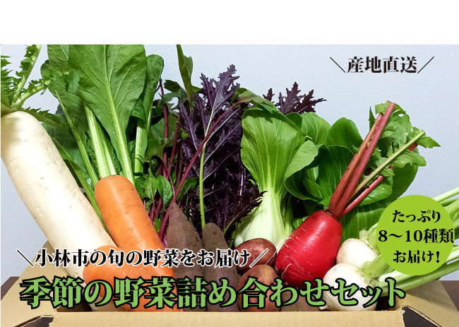 【B047】【自然が育む新鮮野菜】こばやし季節の野菜詰め合わせセット（野菜 詰め合わせ 宮崎県 小林市）