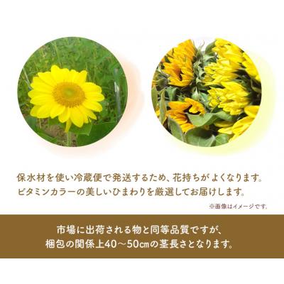 ふるさと納税 当別町 ひまわり切花30本入り(黄色、オレンジ 計30本) |  | 03