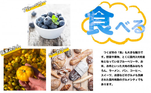 【先行予約】超熟 干し芋 平干し 約900g  │ 干芋 干しいも ほしいも 紅はるか さつまいも サツマイモ 熟成 無添加 無着色 砂糖不使用 おやつ スイーツ デザート 茨城県 つくば市