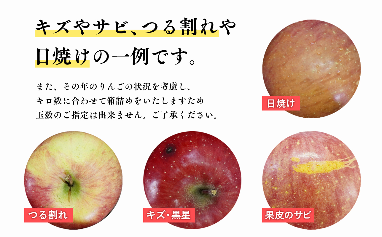  【1月発送】家庭用サンふじ5㎏【丸勝木村商店・青森りんご】