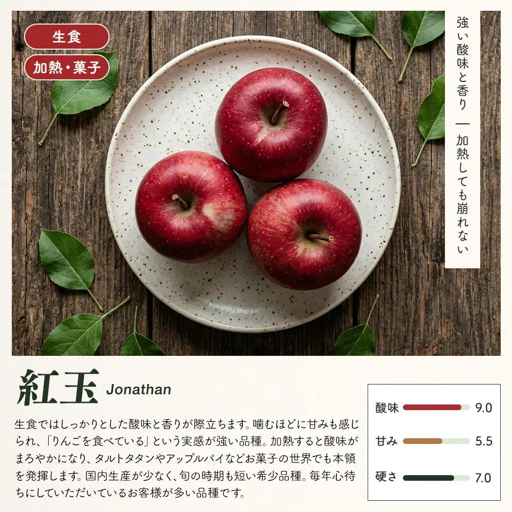 紅玉屋 長野市産 紅玉 4kg【2026年9月下旬以降の出荷分】（紅玉屋） | りんご 林檎  フルーツ りんご
