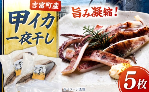 甲イカ 一夜干し 5枚 吉富町/吉富漁業協同組合 [BGAW001] 一夜干し イカ 大きい 肉厚 烏賊 干物 魚介 イカ一夜干し 甲いか一夜干し イカ干物 甲いか いか おかず おつまみ 福岡県