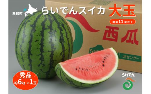 【2026年先行予約】スイカ 北海道 共和町産 らいでんスイカ 大玉 約6kg お届け：2026年7月上旬～中旬まで