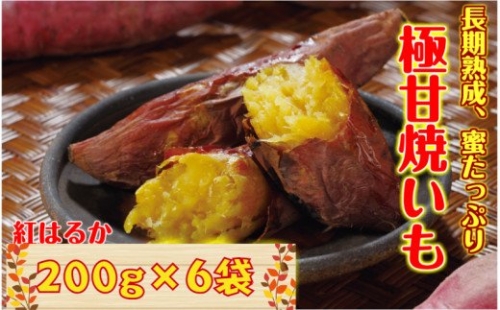 長期熟成！極甘しっとり焼き芋/紅はるか1.2kg_1782R