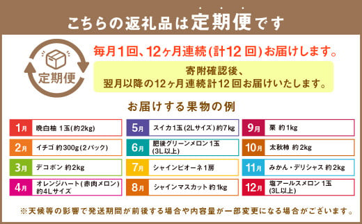 【12か月連続定期便】熊本の旬のフルーツお届け便 （Aコース） フルーツ 果物 くだもの 晩白柚 苺 デコポン みかん 柑橘 蜜柑 メロン すいか メロン シャインマスカット 葡萄 ぶどう 栗 太秋柿