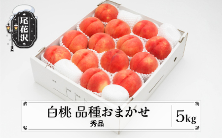 先行予約 桃 もも 白桃 秀品 品種おまかせ 5kg フルーツ 化粧箱入 果物 2026年産 令和8年産 山形県産 モモ  ns-mohtx5