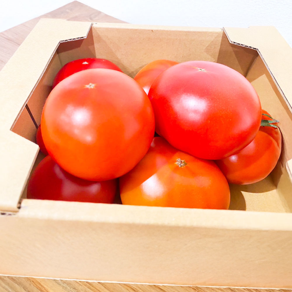 【ふるさと納税】【5回定期便】『まるで太陽の恵みをそのまま閉じ込めたような真っ赤な 大玉トマト』 約3.5kg×1箱 計約17.5kg（約3.5kg×5回） 特別な定期便 熊本県産 野菜 サラダ カプレーゼ 国産 九州 熊本県 熊本市 送料無料 【2026年1月下旬～5月下旬迄発送予定】