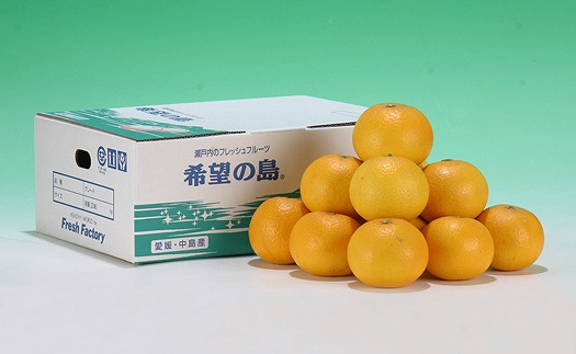 サマー清見 4kg 【2025年4月上旬から発送予定】  愛媛 中島産 愛媛県産 みかん 柑橘 希望の島