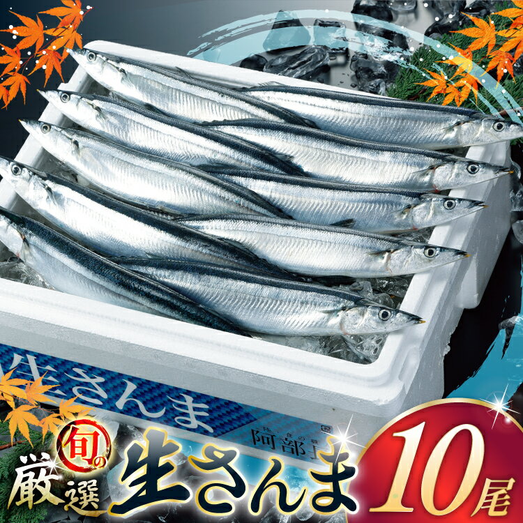 【ふるさと納税】 【期間限定発送】 生 さんま 10尾 [阿部長商店 宮城県 気仙沼市 20565760] 魚 サンマ 秋刀魚 生鮮 鮮魚 季節限定 感想
