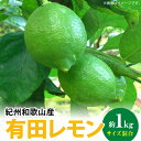 【ふるさと納税】【国産】紀州和歌山産 有田レモン 1kg (サイズ混合)【国産 レモン 柑橘 フルーツ 和歌山】