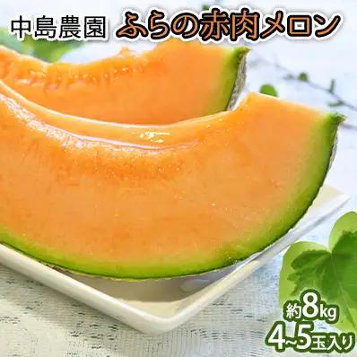 【2026年7月～発送】北海道 富良野市 ふらの赤肉 メロン 4～5玉入り 計 約8kg (中島農園) メロン フルーツ 果物 新鮮 甘い 贈り物 ギフト 道産 ジューシー おやつ ふらの ブランド 