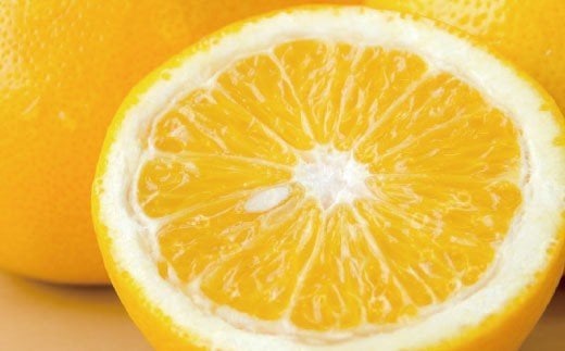  八朔 約10kg サイズおまかせ / ハッサク はっさく みかん 蜜柑 柑橘 果物フルーツ 紀伊国屋文左衛門本舗 ※2027年1月下旬～4月上旬頃発送予定 【kmtb021-r-10A】
