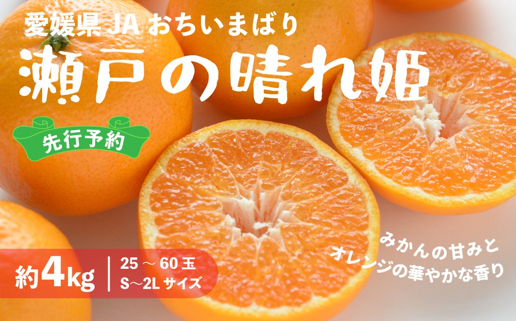
                  ＜先行受付＞瀬戸の晴れ姫　2L～Sサイズ　4kg(25～60玉) | 愛媛県産 はれひめ 果物 ふるさと 愛媛 みかん ミカン 蜜柑 甘い 糖度 果物 フルーツ 贈答用 甘いみかん みかん 箱 愛媛柑橘 愛媛フルーツ 果物 JA 愛媛県 おちいまばり
                