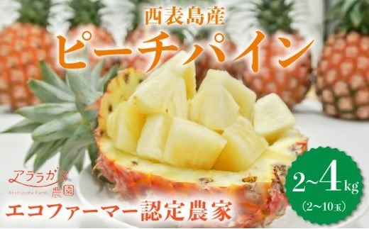 
                  【内容量が選べる】アララガマ農園発祥のピーチパイン。香り高く女性人気NO.1！国内流通量1％未満、幻の完熟ピーチパイン　ピーチパイン2～4kg（2～10玉）
                