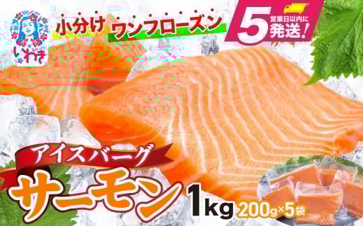 アイスバーグサーモン（アトランティックサーモン）　約1kg（約200g×5袋） 刺身 フィレ 個包装 冷凍 さけ サケ 生食サーモン 鮭 魚 海鮮 手巻き寿司 海鮮丼 人気 おすすめ ノルウェー産