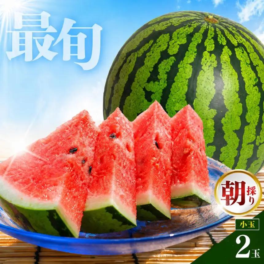  【 順次出荷中 ！】 小玉スイカ 熊本和水町産 スイカ 小玉 (2玉)