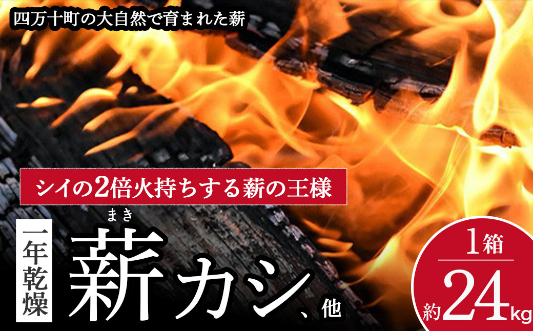
            四万十の薪 1年乾燥 カシ他(約24kg)×1箱　Bnm-13／乾燥 薪 まき アウトドア キャンプ ファイヤー 薪ストーブ焚き火 焚火 森林 林業 サウナ 
          