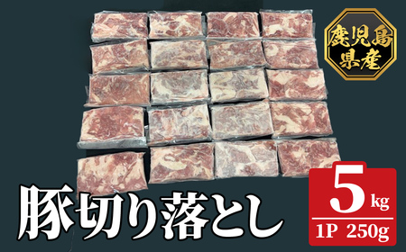 K-618-D 鹿児島県産豚切り落とし 真空パック250g×20P(計5kg)【ハピネス】霧島市 肉 豚肉 豚 精肉 鹿児島県産 切り落とし セット 小分け 冷凍