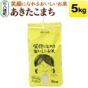 【ふるさと納税】あきたこまち5kg