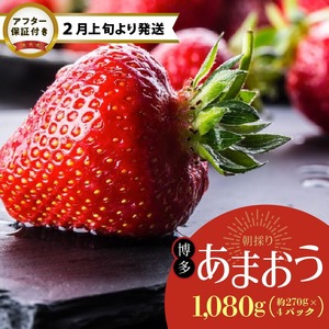 【2027年2月より順次発送】農家直送 朝採り新鮮いちご【博多あまおう】約270g×4パック_ 〔Fi053〕