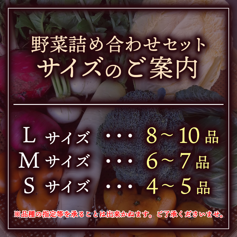 お野菜 4～5品 詰め合わせセット 富士山の湧水でつくる 四季の美味しい 旬 野菜