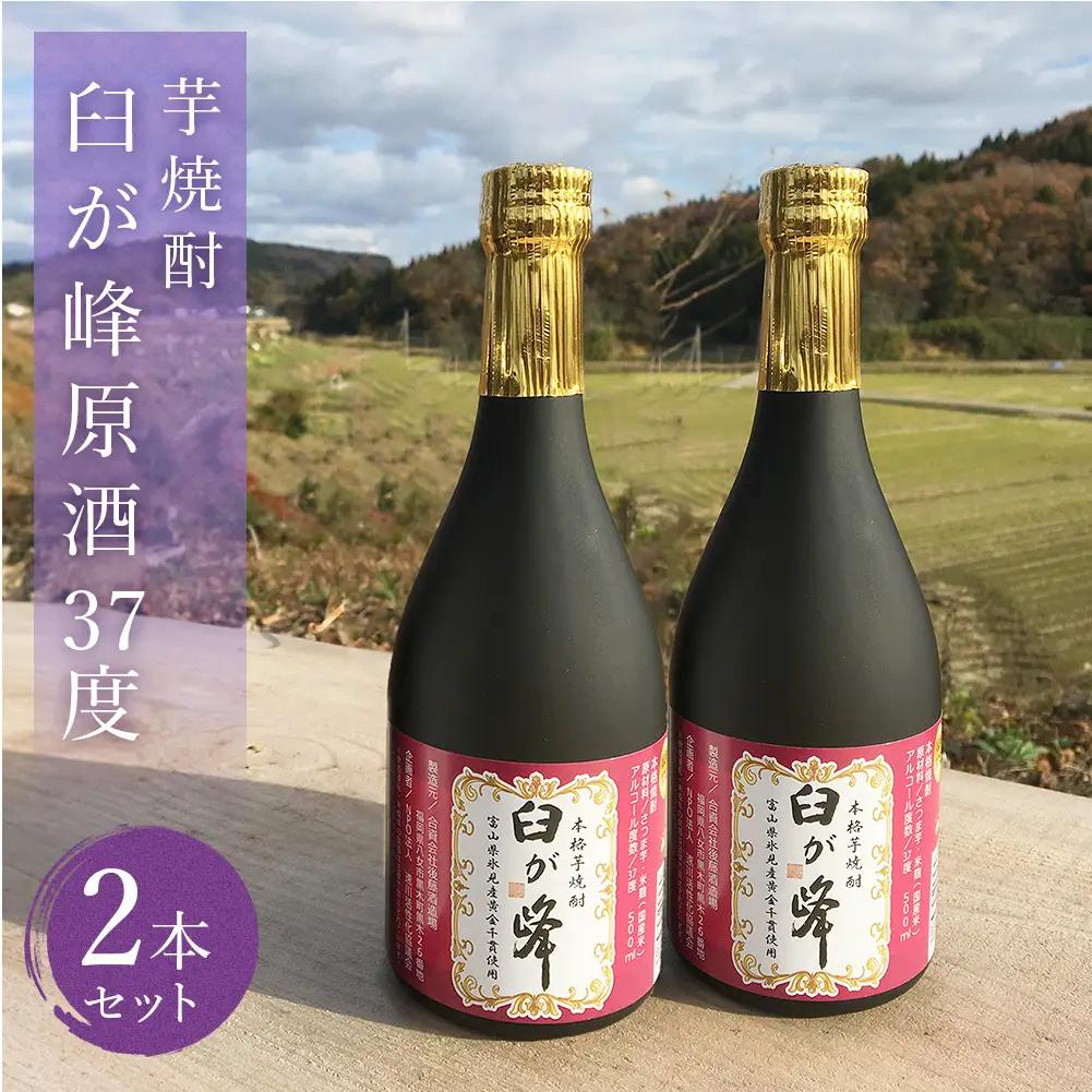 芋焼酎 臼が峰原酒（37度）2本セット| 焼酎 芋焼酎 さつまいも 黄金千貫 原酒 お酒 お取り寄せ 本格焼酎 いも焼酎 家飲み 富山 氷見 
