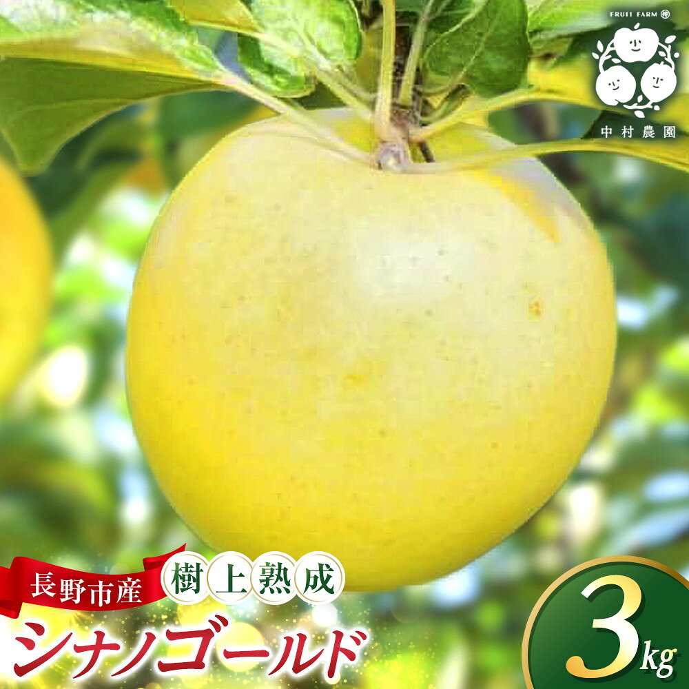 【ふるさと納税】【10月中旬発送 先行予約】樹上熟成　シナノゴールド 3kg