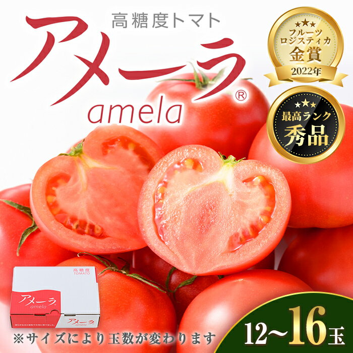 【ふるさと納税】アメーラトマト 1箱 | Sサイズ（15〜16玉） or Mサイズ（12〜13玉） トマト とまと アメーラトマト アメーラ フルーツトマト 野菜 食品 最高品質 高糖度トマト フルーツロジスティ 金賞受賞 ケース 箱 静岡県
