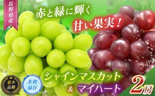 
                  【甘みが増す完熟 氷蔵保存】赤と緑にきらめく果実。マイハート１房とシャインマスカット1房 | シャイン ぶどう 葡萄 ブドウ くだもの 果物 フルーツ マスカット マイハート 先行 先行予約 氷蔵保存 長野県 塩尻市
                