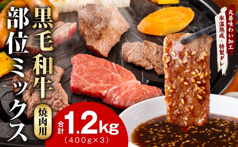mrz0509 【スピード発送】黒毛和牛 部位ミックス 焼肉用 1.2kg【400g×3P 氷温熟成×特製ダレ 小分け 牛肉 黒毛和牛 簡単調理  訳あり】