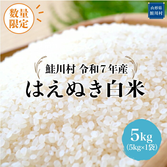 【ふるさと納税】数量限定！＜令和7年産米＞ 鮭川村 はえぬき 【白米】5kg （5kg×1袋）＜配送時期選べます＞