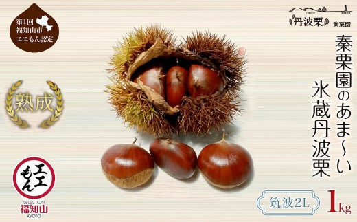 ＜先行予約受付中！2026年11月上旬以降順次発送予定！＞秦栗園のあま～い氷蔵丹波栗(筑波・2L・1kg) 【fc-AC002-E】【秦栗園】