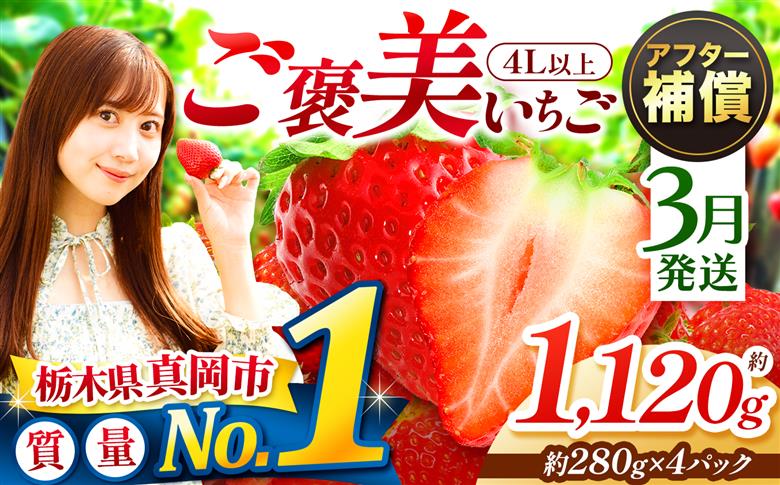 【先行予約】【3月発送】一粒の贅沢！ ご褒美とちあいか 4L以上 約1120g 280g×4パック いちご | 3月 取り寄せ 果物 フルーツ 苺 イチゴ 27年分 栃木県 真岡市 送料無料 【3月発