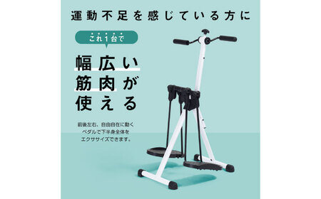スイングアームサイクル/AHE3000[AOAB136] トレーニング