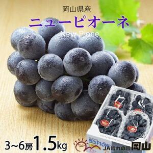 【2025年6月発送】岡山県産　ニューピオーネ　1.5kg(3房～6房)【配送不可地域：離島・北海道・沖縄県】【1308146】