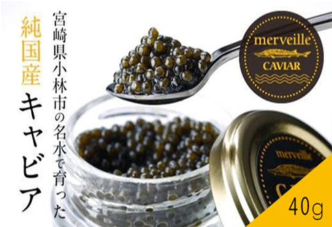 【定期便 全12回】【純国産宮崎キャビア】メルベイユキャビア 計480g<40g×12回> 国産 キャビア 魚卵 定期便 宮崎県