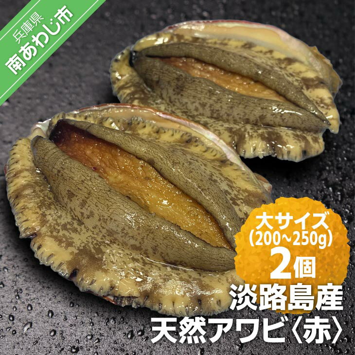 【ふるさと納税】 ふるさと納税 bbq 【花光】淡路島産天然アワビ（赤）大サイズ2個