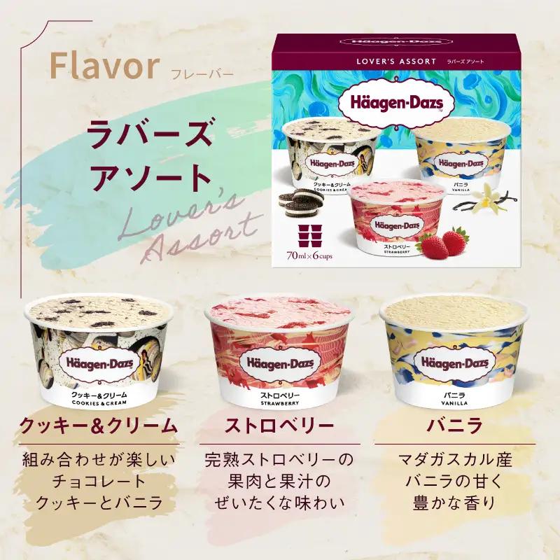 ハーゲンダッツ アイスクリーム バラエティセット アイス_H0026-102