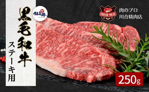 【 福島牛 】 黒毛和牛 サーロインステーキ用 250g 1枚 冷凍保存 肉 牛肉 焼肉 ステーキ 旨味 贈答 ギフト プレゼント 人気 ランキング おすすめ グルメ 福島 ふくしま 田村 田村市 たむら 川合精肉店