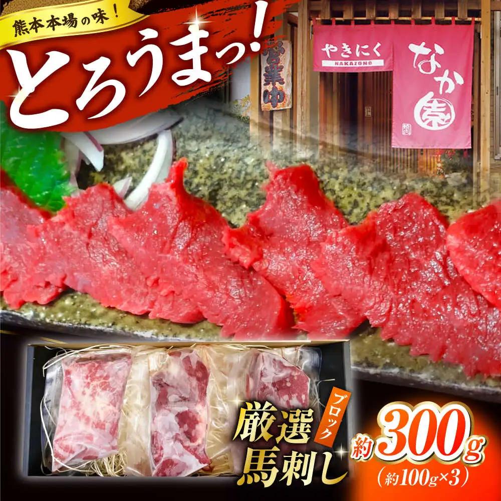 熊本 馬刺し「なか園」赤身馬刺し 約300ｇ【有限会社スイートサプライなかぞの】[ZBV065]