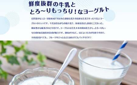 【12ヶ月定期便】球磨酪農おすすめセットA（瓶牛乳&amp;ヨーグルト加糖・砂糖不使用）