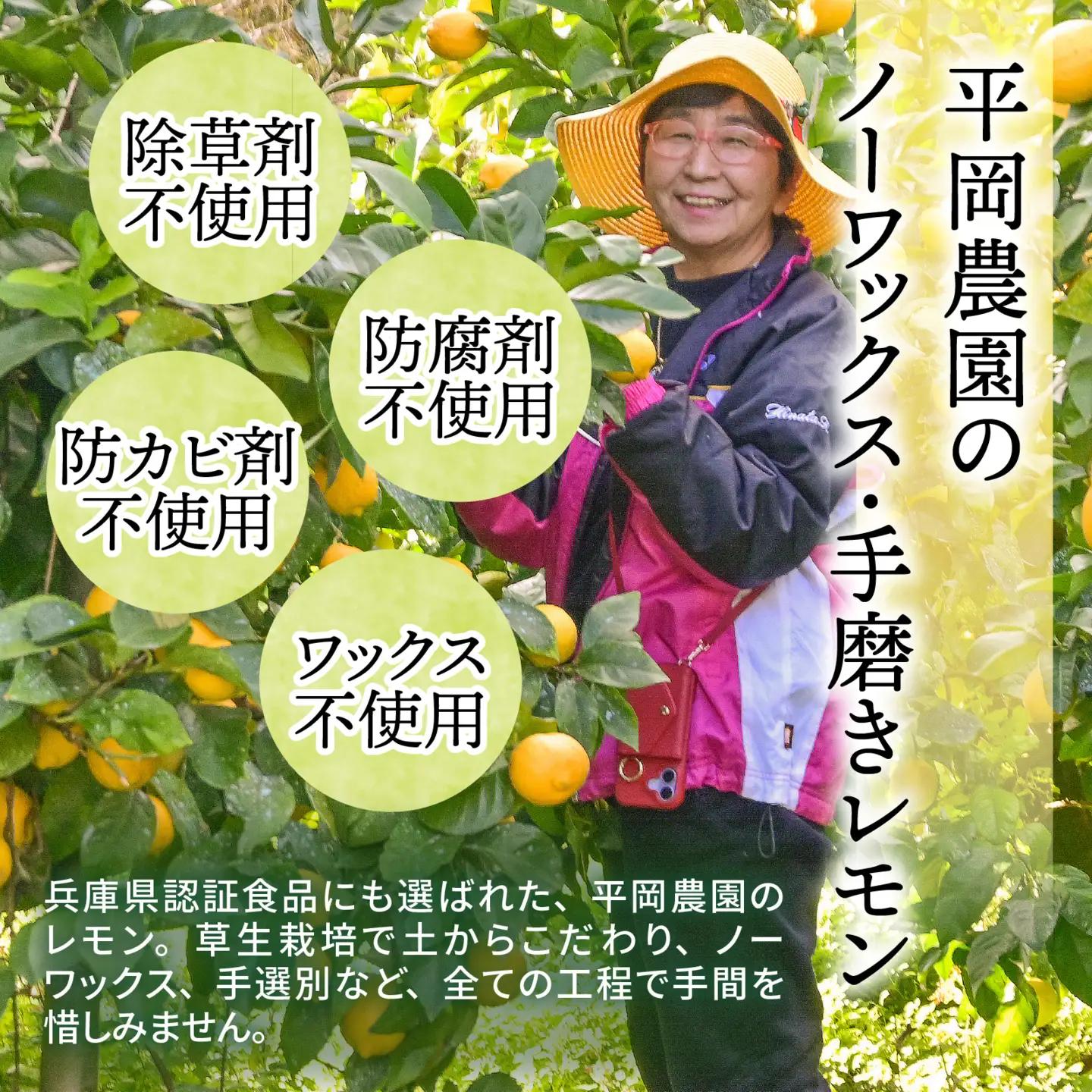 淡路島・平岡農園 黄金レモン蜜原液 レモネードシロップ / レモン