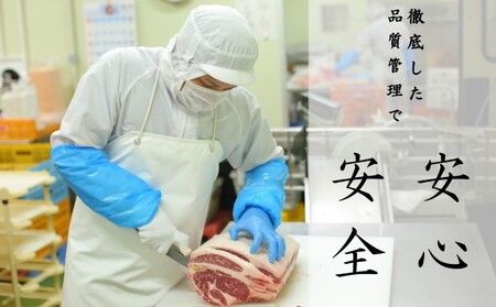 あか牛 焼肉用 切り落とし 熊本県産 GI認証 あか牛【600g】